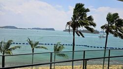 Ocean Drive (D4), Detached #540934471